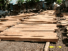 Umbila Logs
