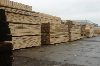 Spruce/Pine