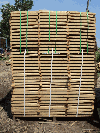 Planks (boards), Oak (European)