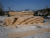 Spruce/Pine