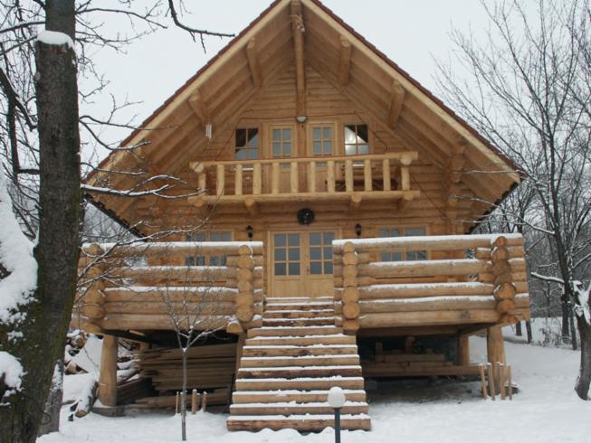 Canadian log house