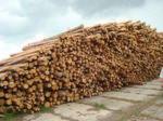 industrial logs