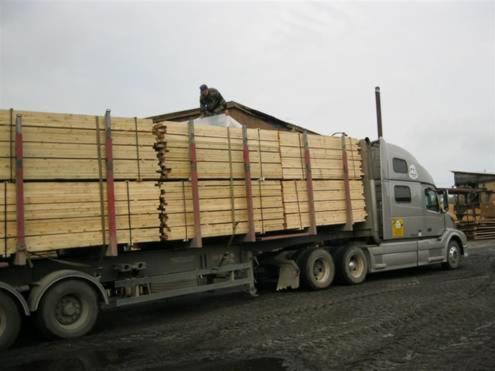 Spruce/Pine
