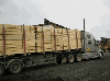 Spruce/Pine