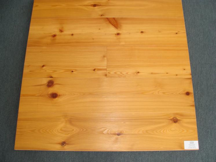 Larch (Larix spp.), CE