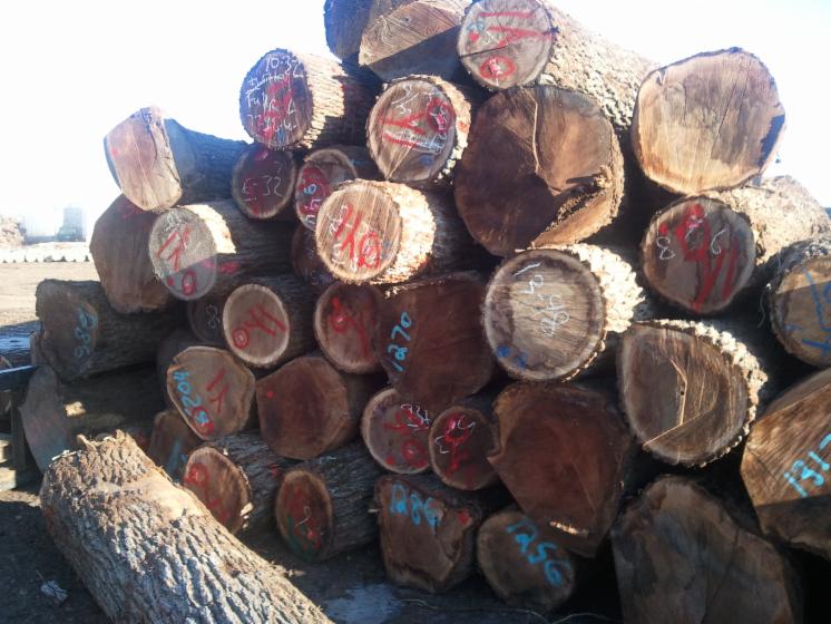 veneer logs