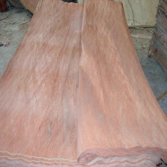 Bintangor Veneer 