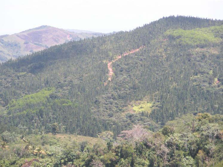 Dominican Republic