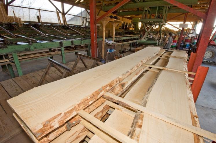 Planks (boards)