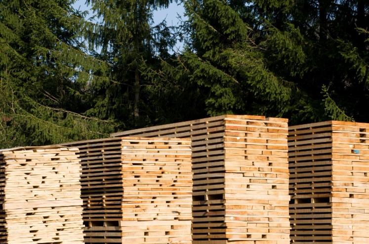 Planks (boards)
