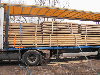 Robinia (Acacia) and Oak machine rounded poles (palisade)