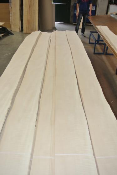 Natural Veneer, SYCOMORO, Quartered