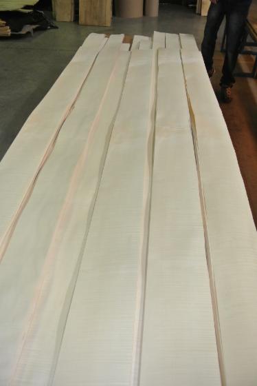 Natural Veneer, SYCOMORO, Quartered
