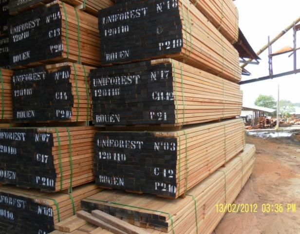 Red Mandioqueira, Special  Price