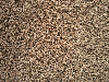 Wood pellets, Maritime Pine (Pinus pinaster)