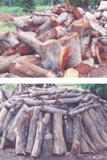 firewood, Iroko (Mvuli, Kambala, Semli, Rokko)