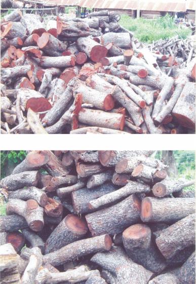 firewood, Iroko (Mvuli, Kambala, Semli, Rokko)