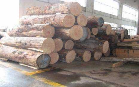 Birch (Asia), CE