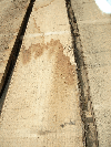 Planks (boards), Chestnut (Europe)