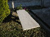 Solid wood panel, Spruce (Picea abies) - Whitewood