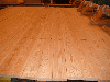 COASTAL TIMBER PRODUCTS LTD