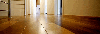 Oak (European), Wear layer for multilayer parquet