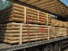 Robinia (Acacia) and Oak machine rounded poles (palisade)