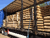 Robinia (Acacia) and Oak machine rounded poles (palisade)