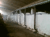 Sale Factory for charcoal and sawdust briquettes