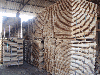 semiproduct beech