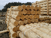 poles, Pine (Pinus sylvestris) - Redwood
