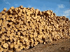 saw logs, Pine (Pinus sylvestris) - Redwood