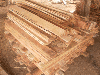 Nikaragva, Eastern Red Cedar