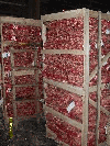 FATWOOD IN BAGS 5 KG