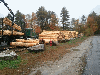 Logs for shavings