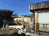 Timber frame houses