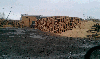we sell NEW Europallets + Delivery 