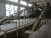 OSB Panel-Oriented Strand board