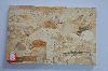 Oriented Strand board- China OSB Panel