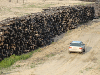 saw logs, Pine (Pinus sylvestris) - Redwood