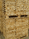 semiproduct beech