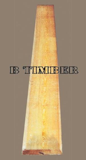 Larch (Larix