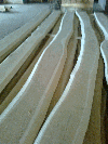 stakes, Acacia