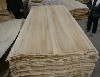 Producer of veneer from poplar,benchwood and plywood producer www.ven