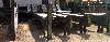 TIMBER FEED-IN