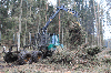 For sale: Forwarder Timberjack 1110D (T78)