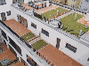 Acacia, Anti-slip decking (1 side)