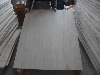 offer rough sawn light Chinese paulownia finger joint boards 