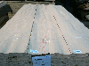 Natural Beech Veneer