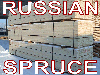 Russian Spruce for Asian Market